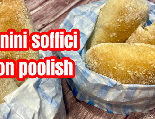 Panini e poolish: sofficità e un gusto insuperabile!!